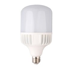 LAMPARA LED GALPONERA 30W E27 LUZ FRIA - comprar online