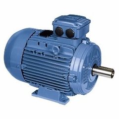 Motor WEG Trifasico 0,5CV-1500RPM