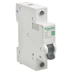INTERRUPTOR TERMOMAGNETICO SCHNEIDER ELECTRIC 1 X 63 A C