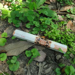 Sahumerio Coco 02