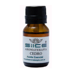Cedro