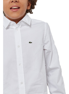 camiseta lacoste niño
