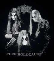 Camiseta Immortal - Pure Holocaust