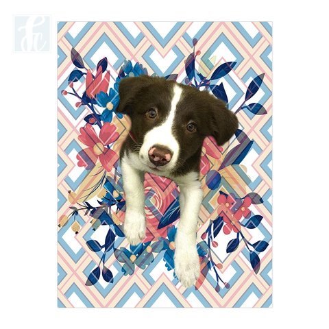 Placa Decor Pet Personalizada - Floral e Chevron