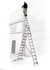 Escalera Aluminio Profesional Extensible 3 Tramos de 10 Escalones MI-310A en internet