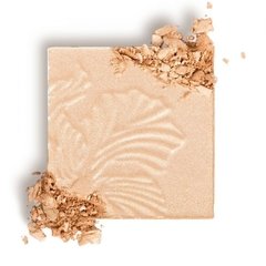 Golden Flower Crown WET N WILD ILUMINADOR