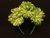 Vincha Fluo 3 Flores - tienda online
