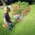 Motoguadaña Stihl FS 38 - comprar online