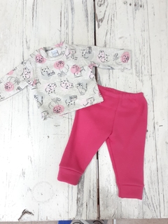 Conjunto Gatitos