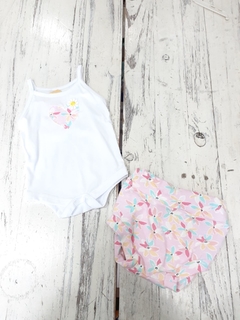Conjunto Musculosa