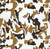 C14 - Desert - Lamina Hydroprint Tradicional - 1.00m