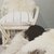 Silla Roma - Muebles Oranias
