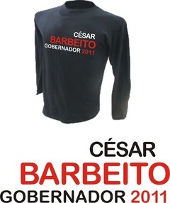 Campaña politica 2010/2011