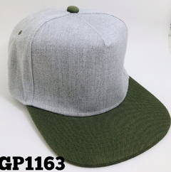 GP 2863 en internet