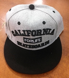 SNAP CALIFORNIA 3D