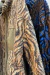 Campera Corderito Scaly (FW23SA026)