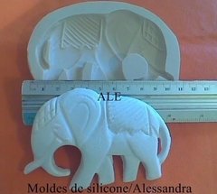 *579 Elefante