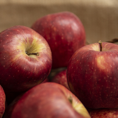 Manzana roja Orgánica - comprar online