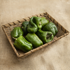 Pimiento verde Agroecológico