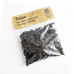 Alga Fucus "APANA"