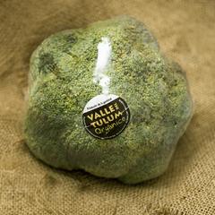 Brocoli Orgánico