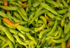 Aji Amarillo para Conservas