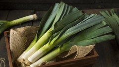 Puerro Agroecológico