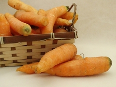 Zanahoria Agroecológica