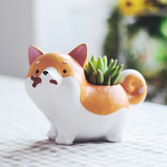 MACETA DE RESINA " PERRO AKITA"
