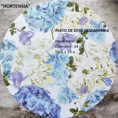 PLATO DE SITIO DE PAPEL - 24 UNIDADES - comprar online