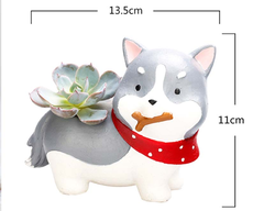 MACETA DE RESINA "PERRO SIBERIANO" - comprar online