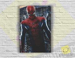 Placa Decorativa - Espetacular Homem Aranha II | Marvel