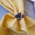 SETX 6 Flor