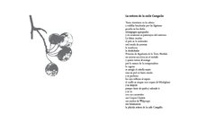 La señora de la calle Cangallo / Bajo el burlón mirar las estrellas en internet