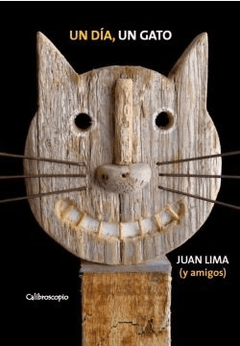 Un día, un gato