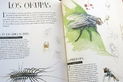 Museo vivo de los insectos - comprar online