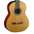 Guitarra Clásica Cort AC 200 - comprar online