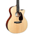 Guitarra Acústica Martin & Co GPC PA4 con Ecualizador Fishman en internet