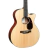 Guitarra Acústica Martin & Co GPC PA4 con Ecualizador Fishman en internet