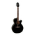 Guitarra Acústica Takamine EG 481 T/CPX SCX