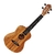 Ukelele Soprano Con microfono Ortega Zebrawood C/Funda - comprar online
