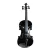 Violín Acústico 4/4 General Music G-14 Colores Varios