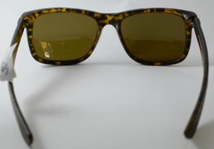 Óculos Solar New Glasses NG 1003 - NEW GLASSES ÓTICA