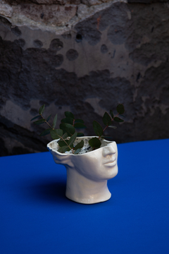 Maceta Venusina en internet