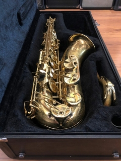 Saxofone Michael Tenor WTSM35 - Usado na internet