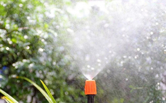 Kit Bico Nebulizador Irrigação 20 Unidades na internet