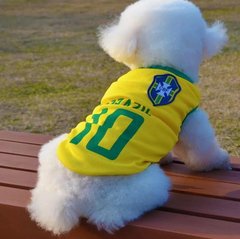 Roupa Pet Camiseta Brasil Cão E Gato