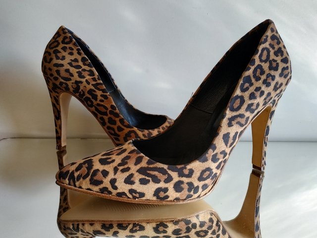801 Stiletto Animal print - Zapatos Camino Infinito