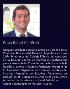 Guido Rafael Gottifredi - Código Aduanero Gottifredi