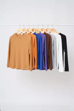 AW23 - 2595 - Remera panal ml bordado tigre "Taragona" - comprar online